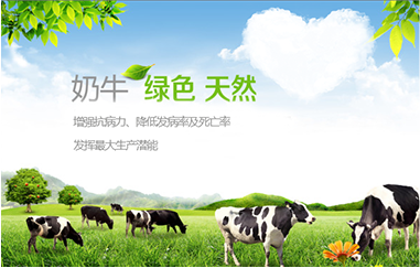 畜牧饲料电商平台